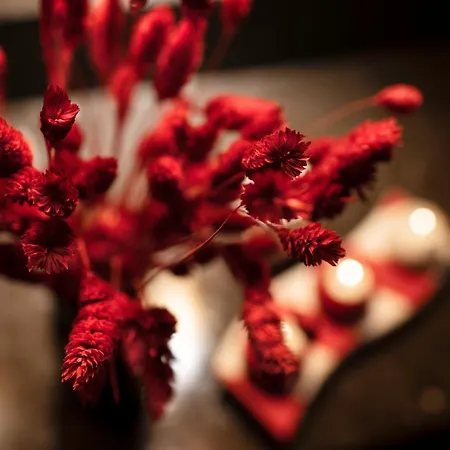 Hotel Doubletree By Hilton - Tuzla 4*